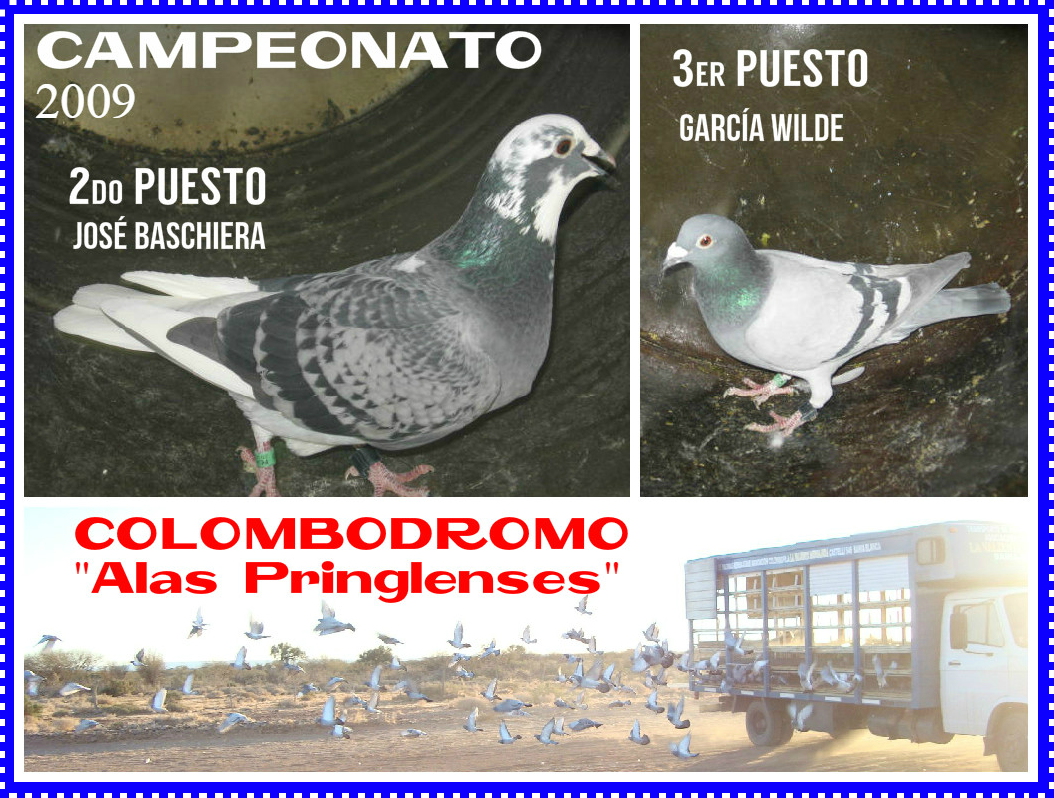 palomcamp0912